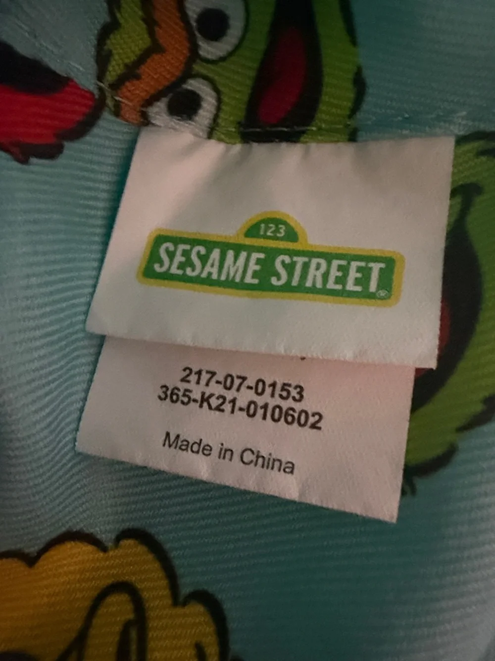 Sesame Street Aqua Blue Reversible Bucket Hat “Amazing” Character Patch